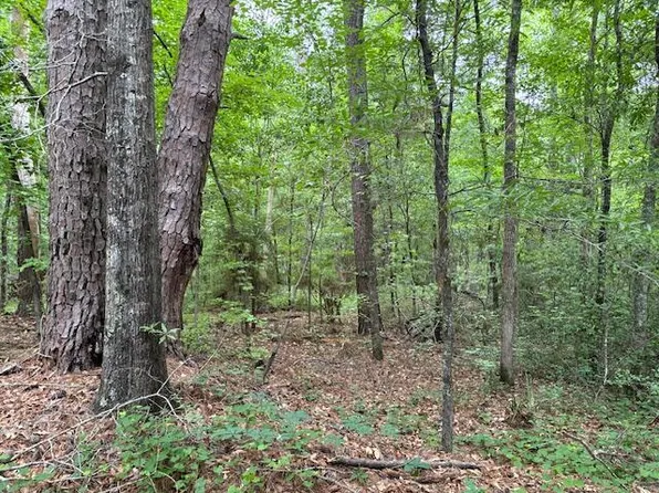 0 BUENA VISTA Road, Warrenton, GA 30828