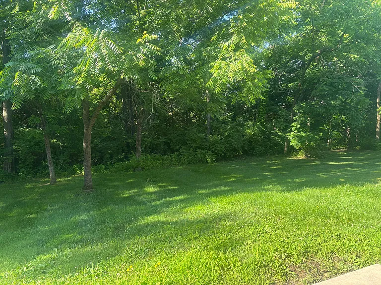 1320 Raleigh Dr — Photo 6