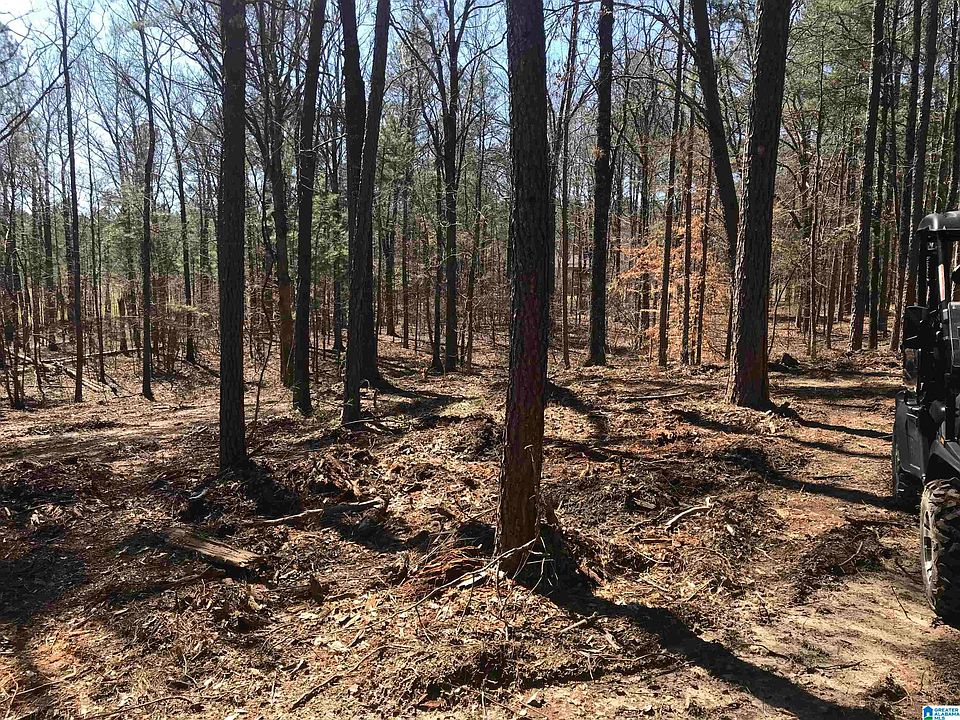 1st image of 3118 Highway 51
