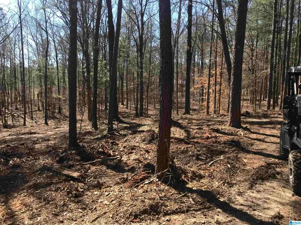 3118 Highway 51, Wilsonville, AL 35186