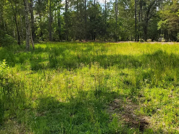 4515 PALATKA Boulevard, Hastings, FL 32145