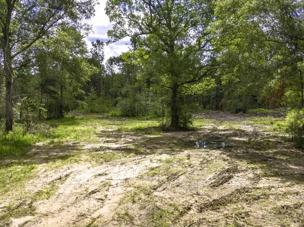 LOT 2 Holland Rd, Moscow, TX 75960