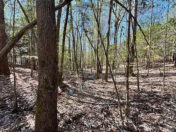 3rd image of 0 County Road 415
