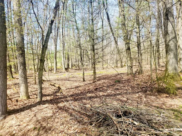 Sheridan St #2, Montague, MI 49437