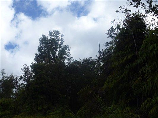 5th image of Lehua St Lot 7210