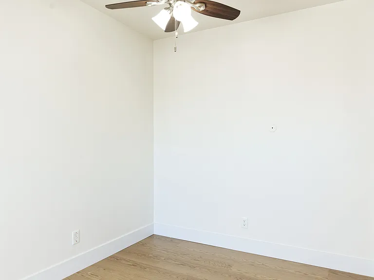 150 Haas — Photo 17