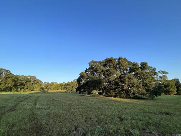 Lots 1b2 & B123 Commerce, Saint Francisville, LA 70775