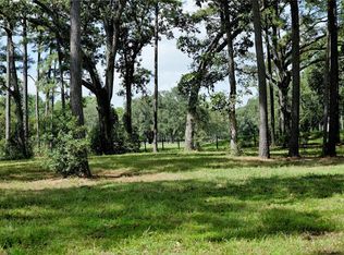 22509 Murrell Rd, Hockley, TX 77447