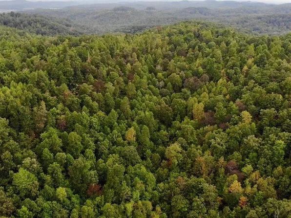 3680 Copper Creek Rd, Berea, KY 40403