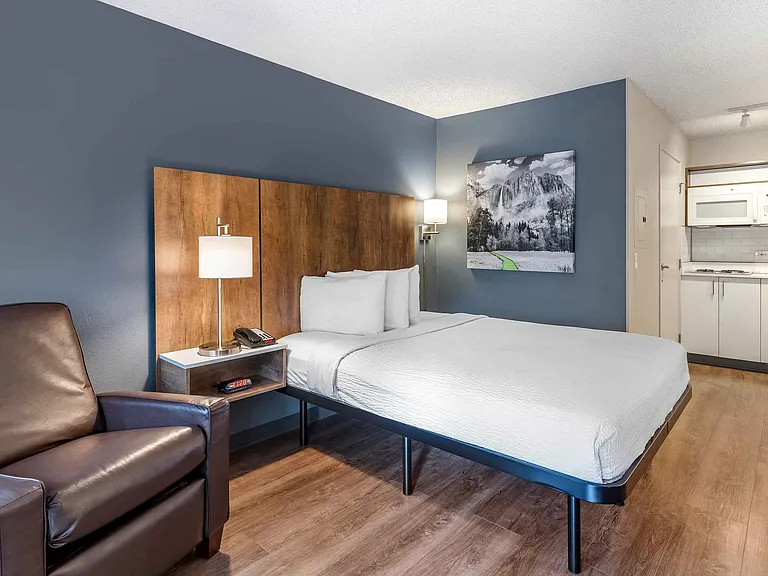 Studio Suite - 1 Queen Bed