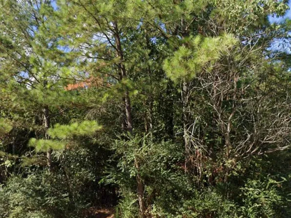 (undisclosed Address), Little Rock, AR 72204