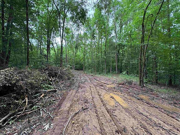 5th image of 80 Acres Off Of Sr 164 W