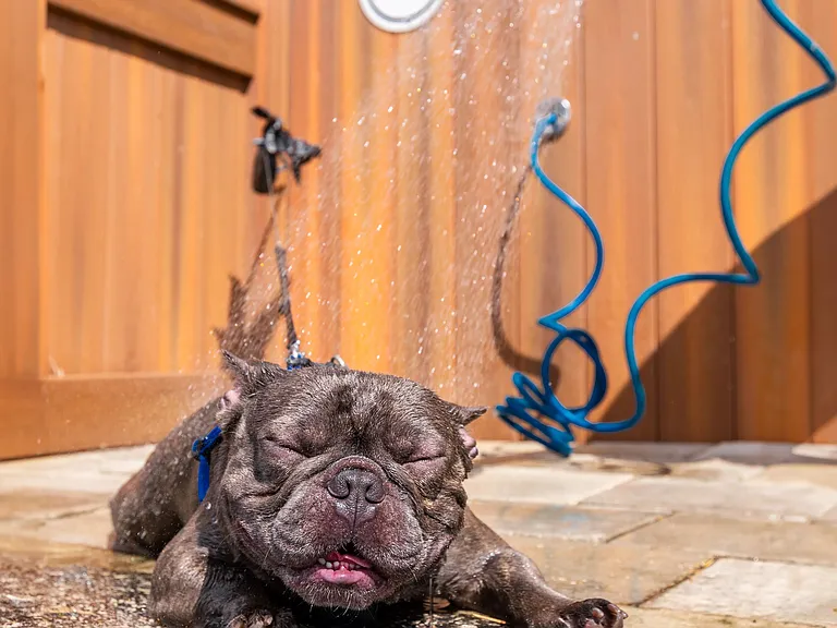 Treat your pet to a refreshing wash at our convenient dog wash station. Keep your furry friend clean and happy after a day at the dog park!