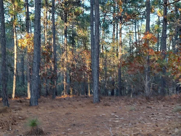 4 Brassie Circle, Jackson Springs, NC 27281