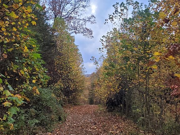 4th image of 43.91 Old Burnt Mountain Rd