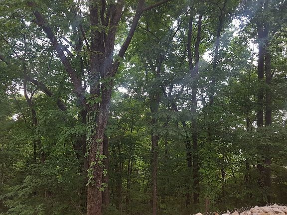 View from lower patio