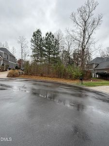 227 Deep Crk Lot 446M, Pittsboro, NC, 27312