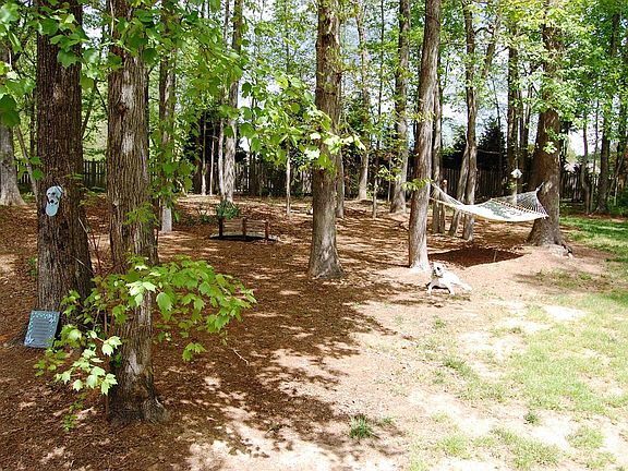 back yard 1.3 acre