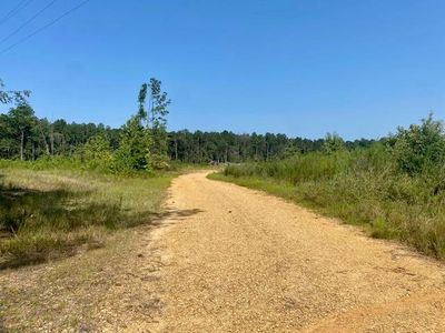 0 Robert Jones Rd, Summit, MS, 39666