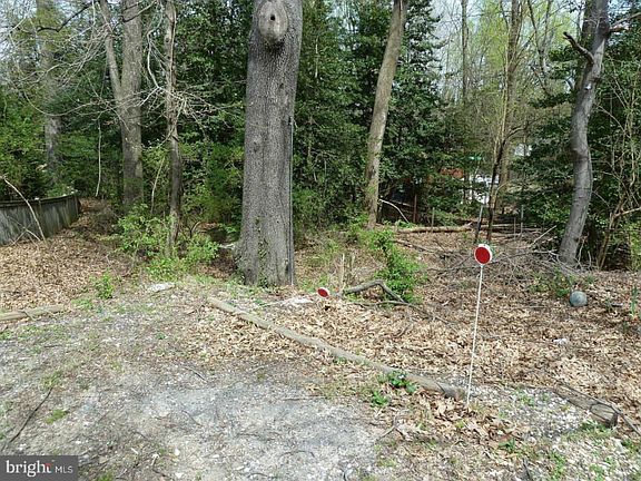 2nd image of 1004 Beechwood Ave