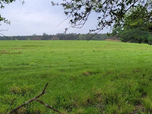 Nhn Grady Lewis Rd Lot D, Poplarville, MS 39470