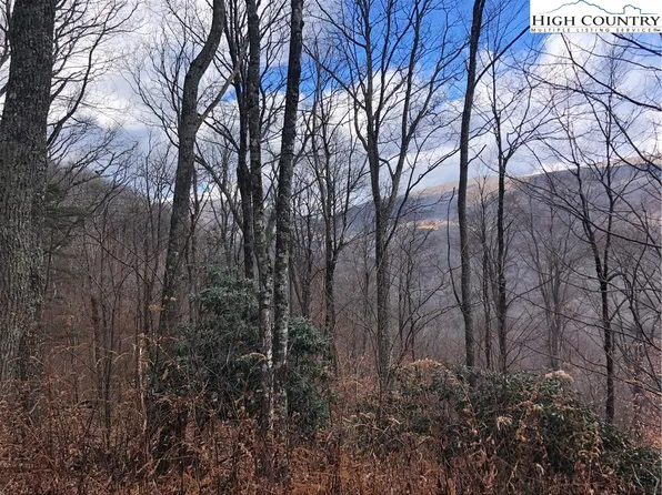 tbd Doe Ridge Road, West Jefferson, NC 28694