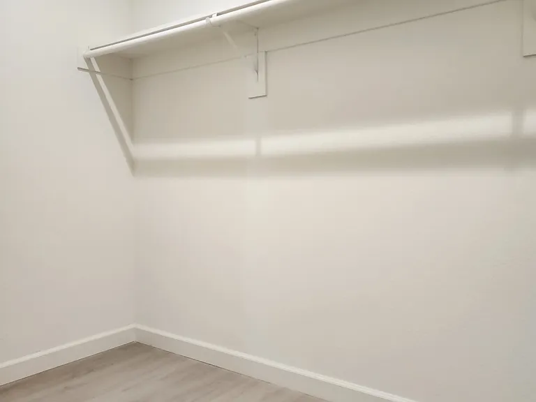Primary Walk-in Closet