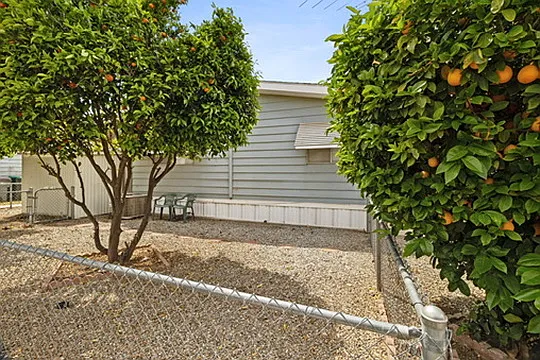 26146 Butterfly Palm Dr — Photo 17