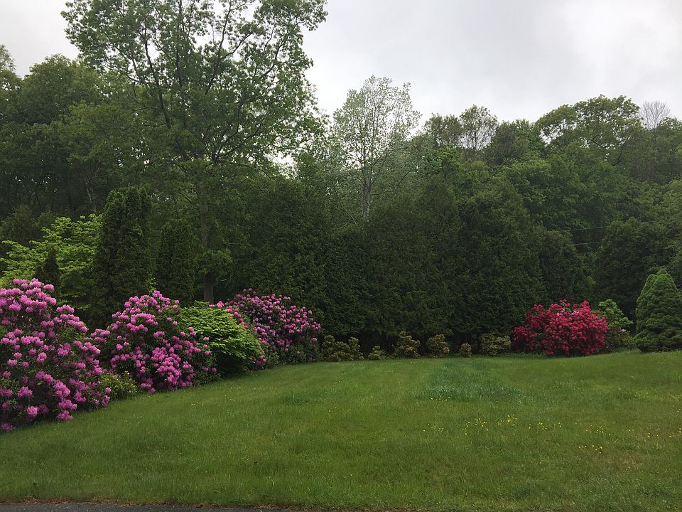 Front yard.