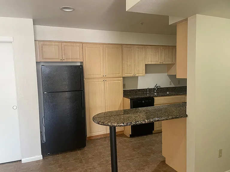 1005 E 8th St #1011 — Photo 5