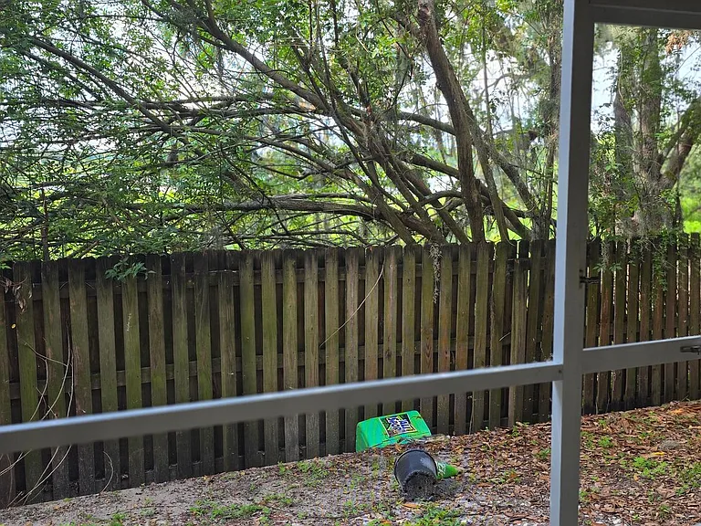 11012 Black Swan Ct — Photo 17