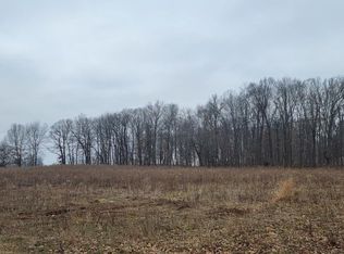 PARCEL Dildine Rd #D, Ionia, MI 48846