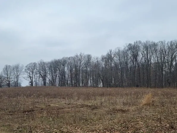 PARCEL Dildine Rd #D, Ionia, MI 48846