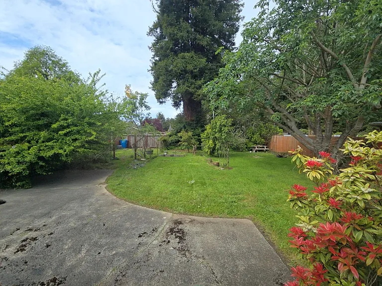 1921 Harris St — Photo 28