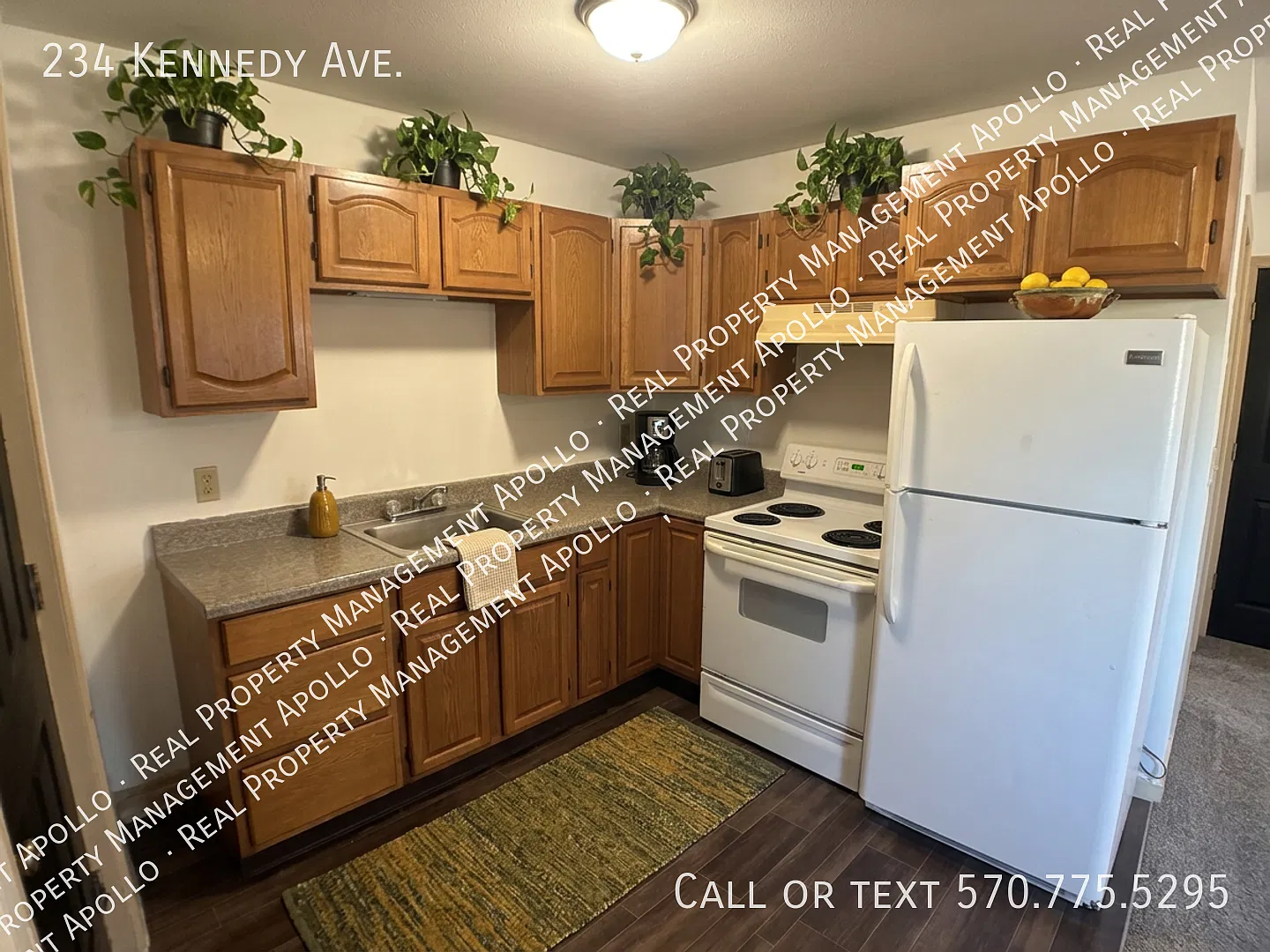 234 Kennedy Ave - Mill Hall — Photo 2