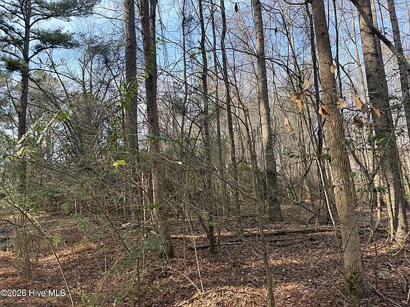 5th image of 269 Creek Road