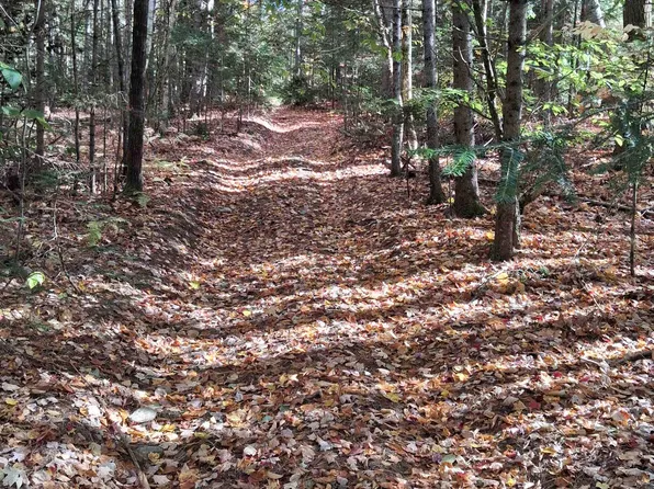 Lot 15 +37 acre Spruce Lane Lot 15, Eden, VT 05652