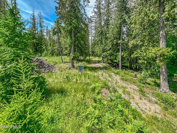 4th image of 161 Finch Trl