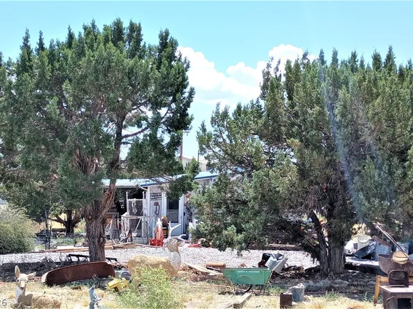986 Bartolo Rd, Pioche, NV 89043
