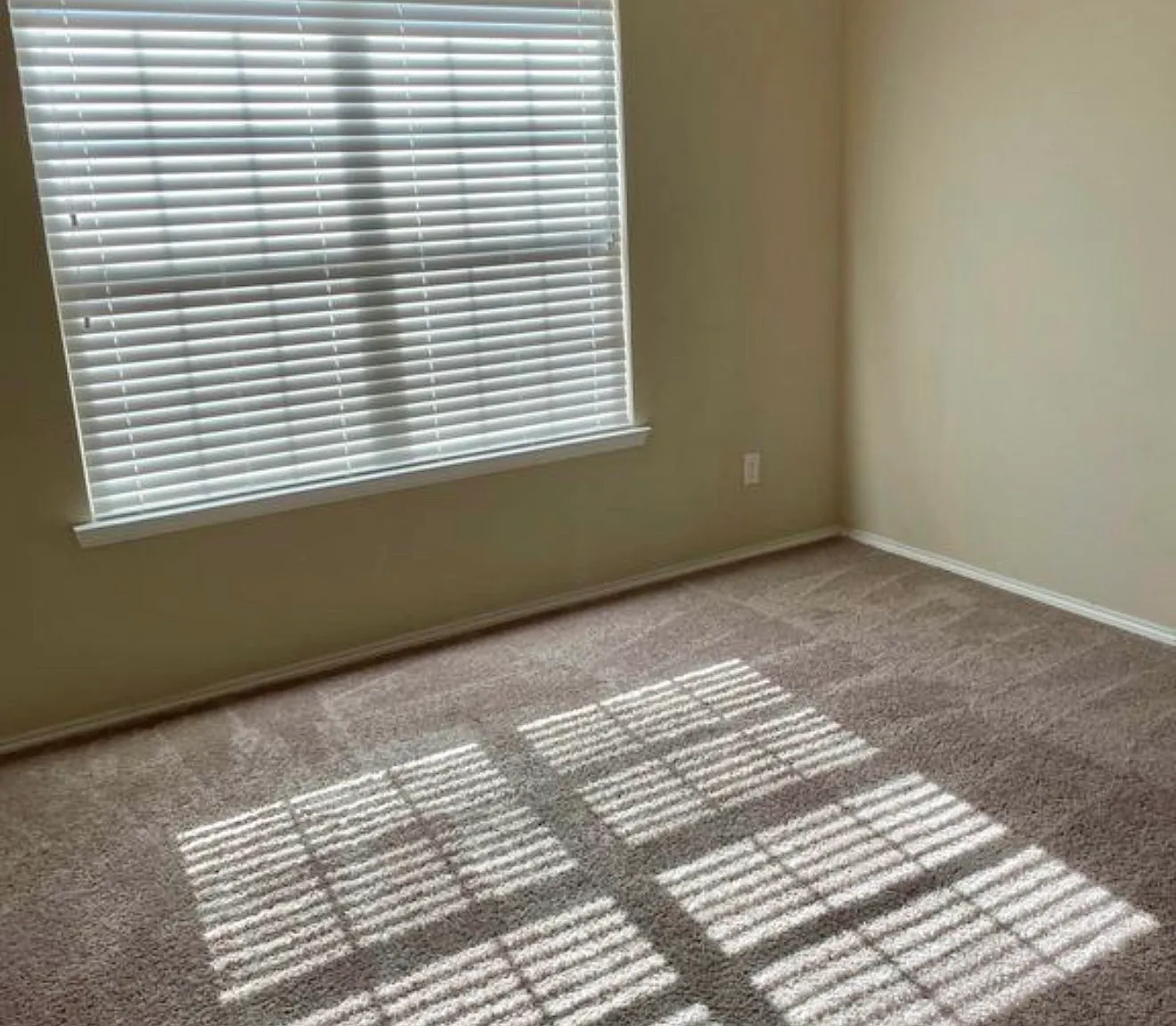 4 bed, 1645 sqft, $1,800 — Photo 3