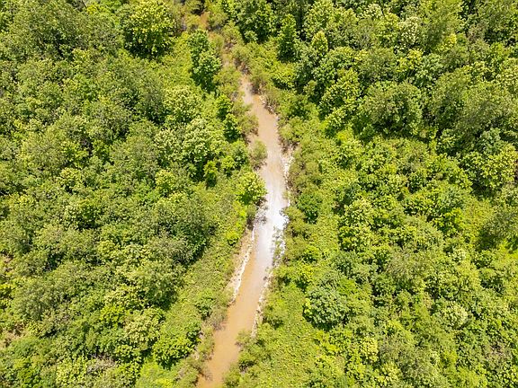 4th image of 904 Capooth Rd