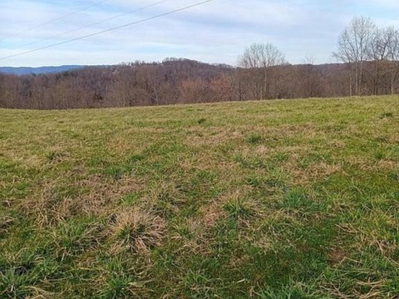 3rd image of LOT 2 King Bend Rd
