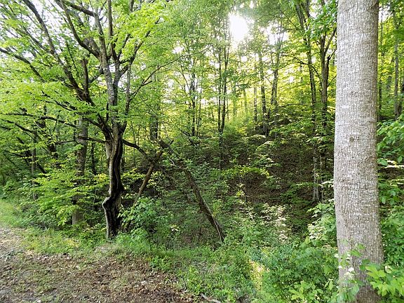 4th image of 23 Driftwood Rd Lot 23.04