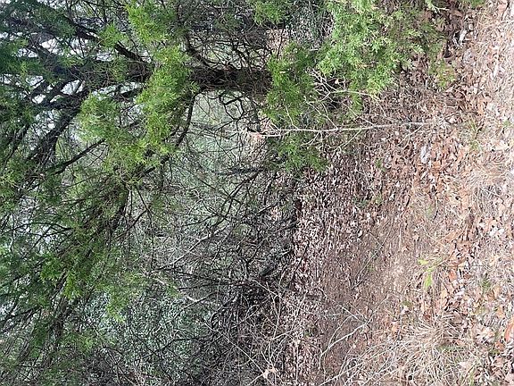 4th image of 0 Woods North Dr