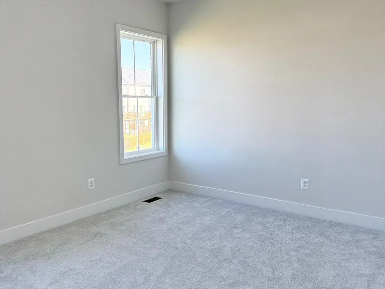 141 Bamboo Shoot Ln — Photo 20