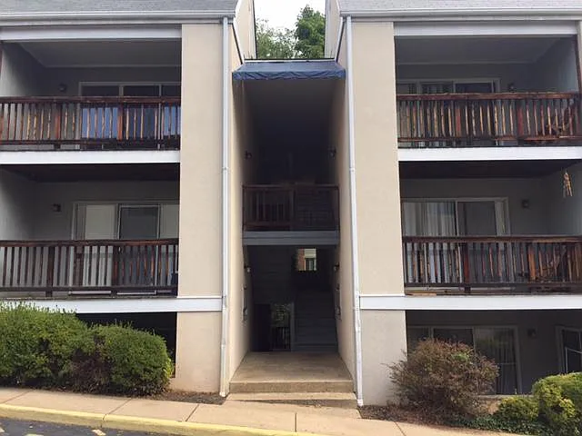 1910 Jefferson Park Ave #7 — Photo 3