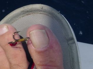 18 Cove View Ct, Cocoa Beach, FL 32931