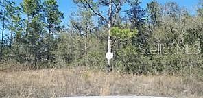 2nd image of 16200 Crane Rd #10
