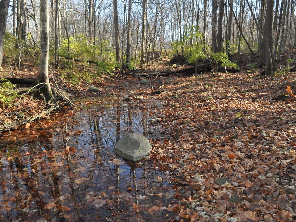 1st image of 0 Township 56 Rd #56