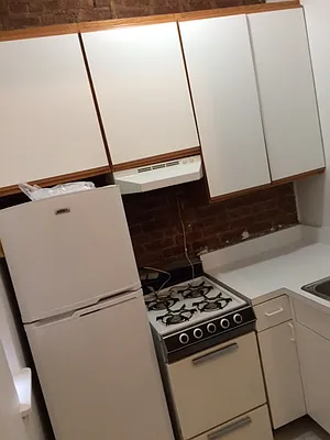 Rented by Eric Goodman Realty Corp | media 13